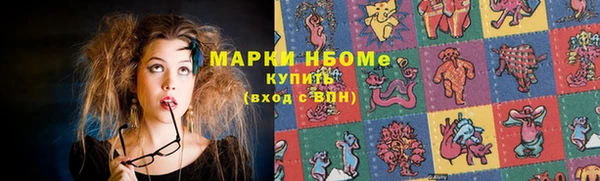 хмурый Вяземский